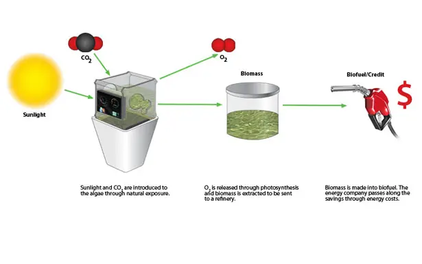 Bio-Grow Photobioreactor for The Cultivation of Algae