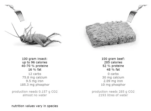 Farm 432: Insect Breeding by Katharina Unger