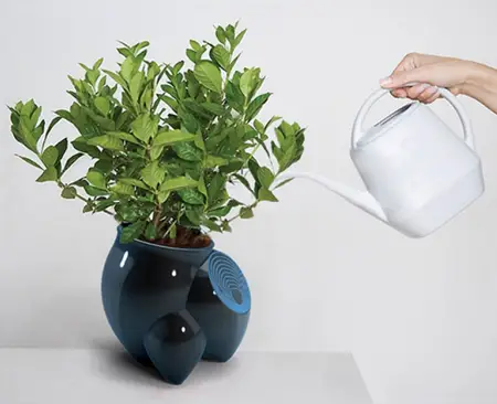 flower pot detects plant age