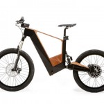 Mosquito E-Bike with Removable Pole and Ergonomic Design