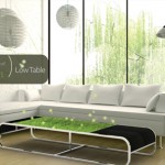 Oxygen of Green : Natural Air Purifier Table for Your Living Room