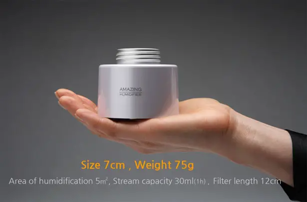Portable Amazing Humidifier