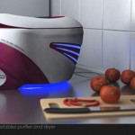 PURE : Fruits – Vegetables Purifier and Dryer