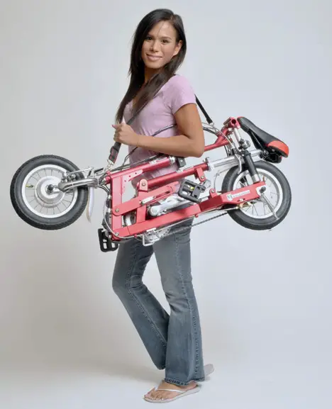 Velomini Folding Electric Bicycle