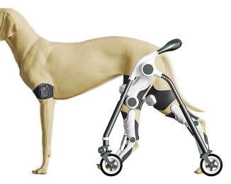 Dog Reh-Assist Dog Exoskeleton To Enhance Dog’s Rehabilitation and Mobility Process