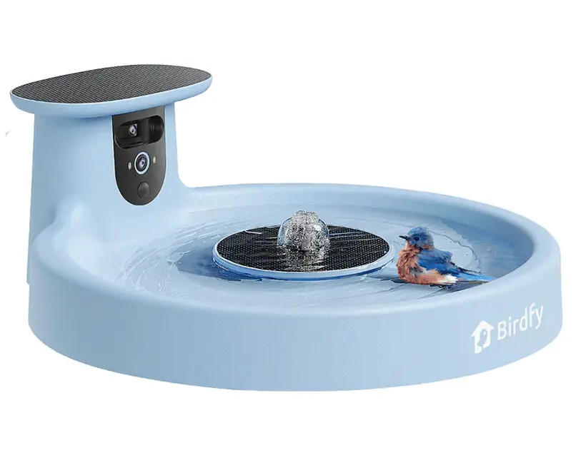 Birdfy Bath Pro