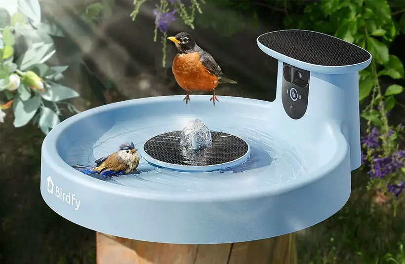 Birdfy Bath Pro
