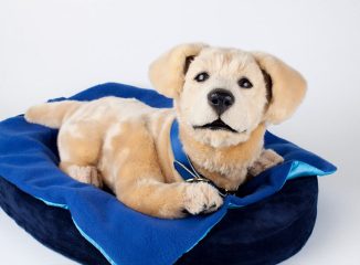 Tombot Puppies Delivers Hyper-Realistic Robotic Puppy for Companionship