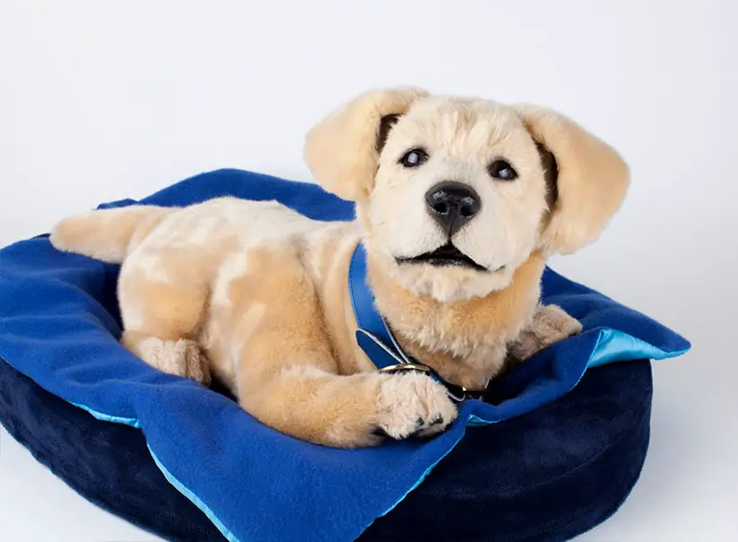 Tombot Puppies Deliver Hyper-Realistic Robotic Puppy