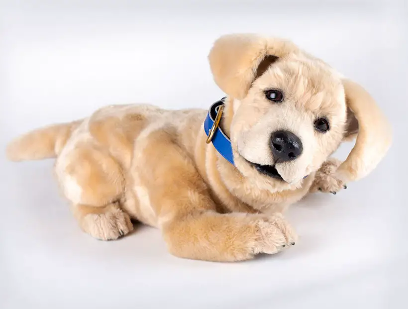 Tombot Puppies Deliver Hyper-Realistic Robotic Puppy