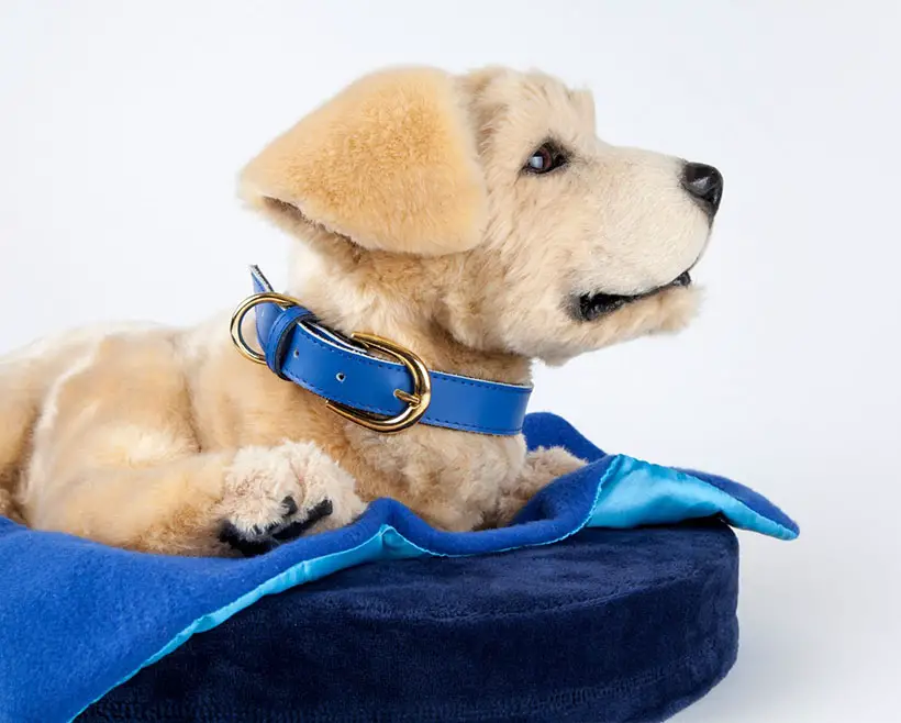 Tombot Puppies Deliver Hyper-Realistic Robotic Puppy