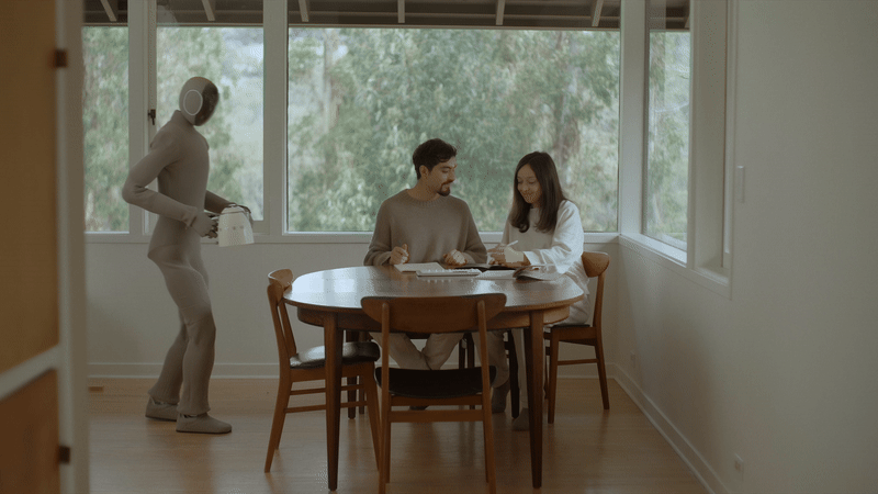 Neo Gamma Home Humanoid Assistant