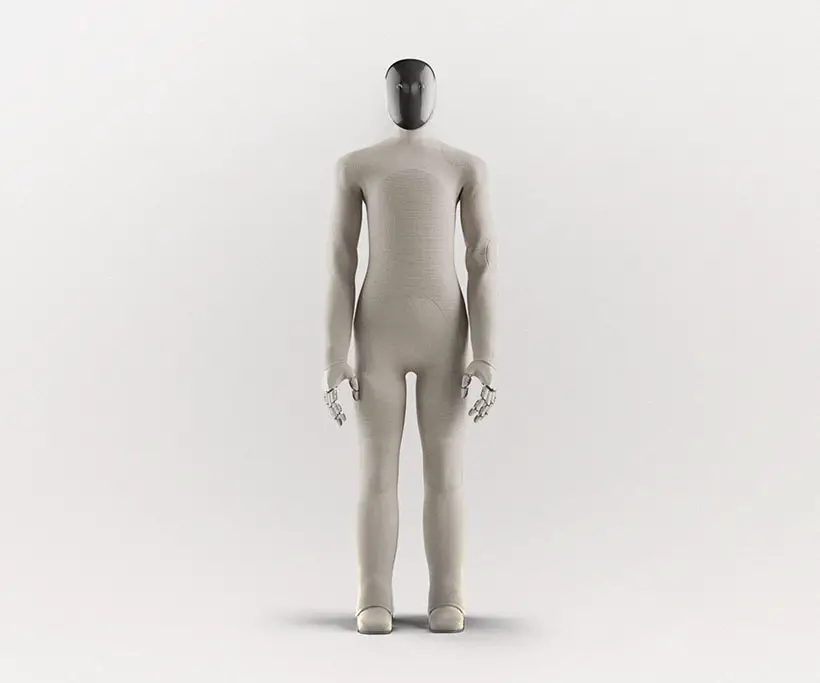 Neo Gamma Home Humanoid Assistant