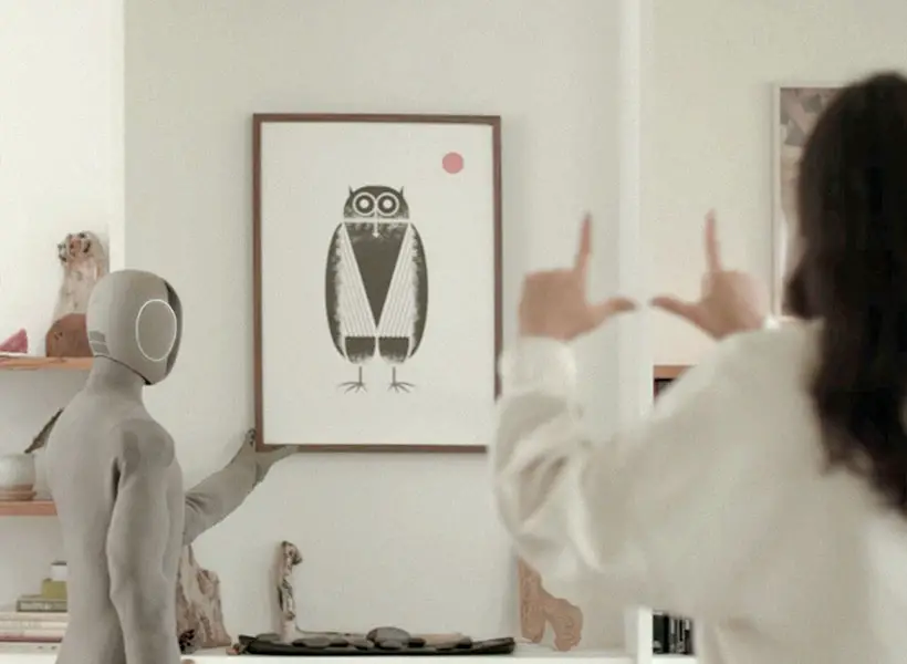 Neo Gamma Home Humanoid Assistant