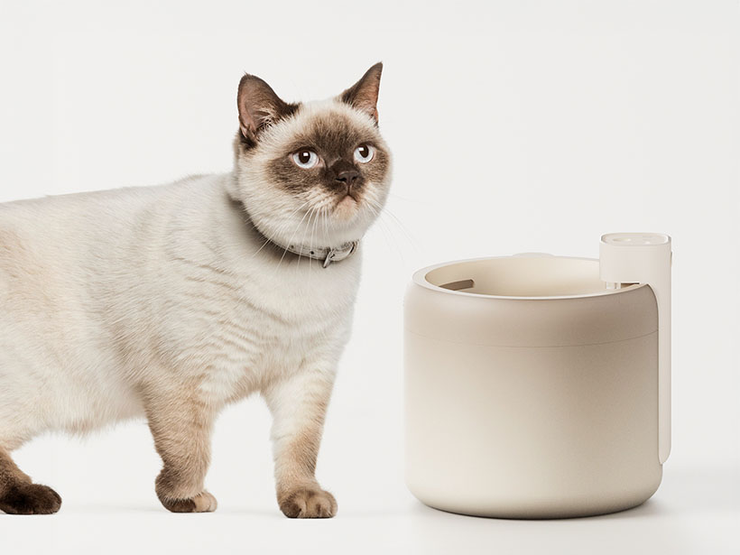 POCORO Pet Water Dispenser by Passakorn Kulkliang