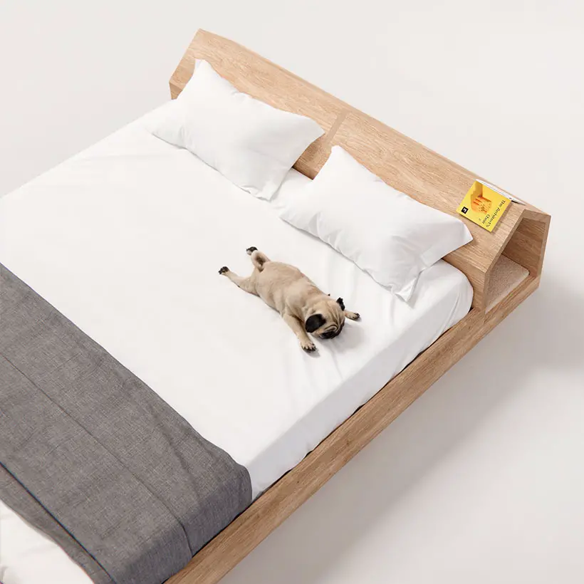 Dog Hut Bed by Liam de la Bedoyere