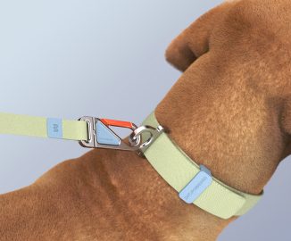 Stylish Carabiner and Leash Set Concept Study for PetPowered