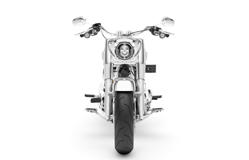 Limited-Edition Harley Davidson Fat Boy Gray Ghost