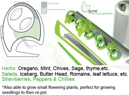 Grow plants from waste 2