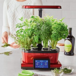 Grow Your Own Vegetables with AeroGarden Harvest Touch – It’s Easy and Automatic