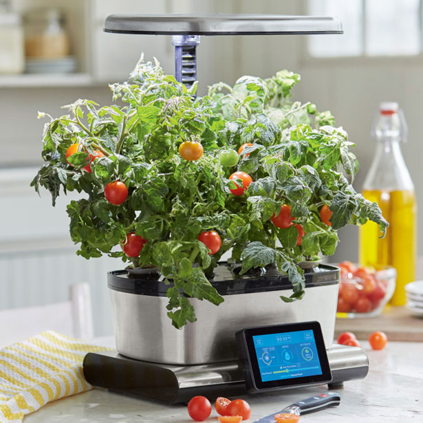 AeroGarden Harvest Touch with Gourmet Herbs Seed Pod Kit