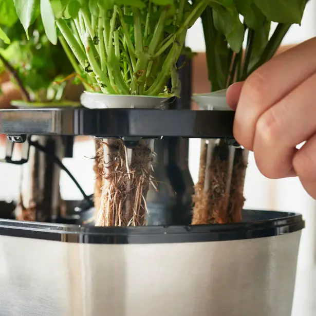 AeroGarden Harvest Touch with Gourmet Herbs Seed Pod Kit