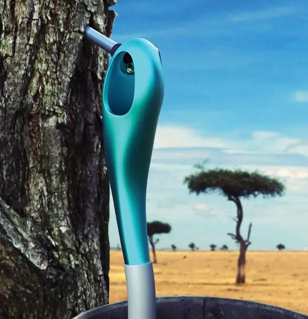African Wrench Tool to Tap Acacia Senegal Tree For Acacia Gum
