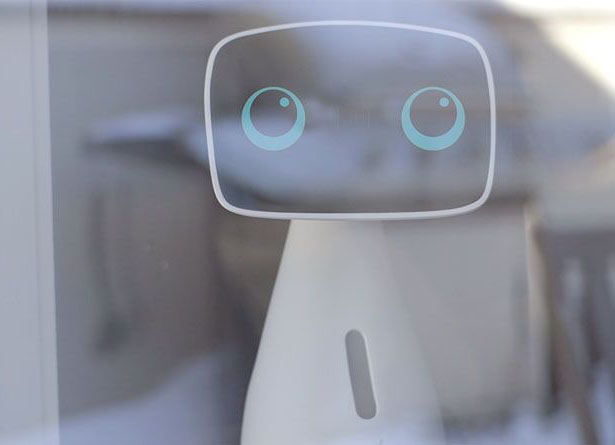 Aido Advanced Social Robot for Smart Home