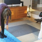 Aido Advanced Social Robot for Smart Home