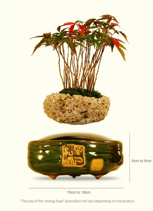 Air Bonsai : DIY Magical Floating Bonsai Kit