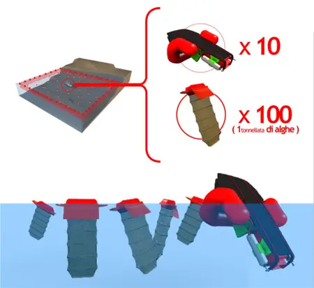 algaster harvesting robot