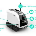 Anthouse Pet Companion Robot