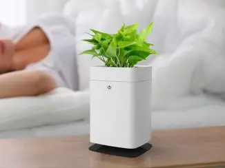 Modern ANTI-Mosquito Pot Kills Mosquitoes and Decorates The Room