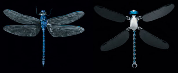 BionicOpter Robotic Dragonfly by Festo