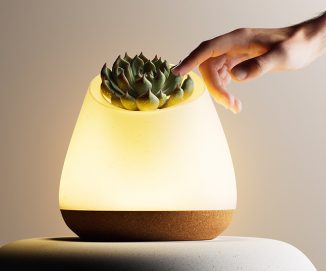 Bioo Biotechnological Lamp Uses Succulent Plant As Its On/Off Switch