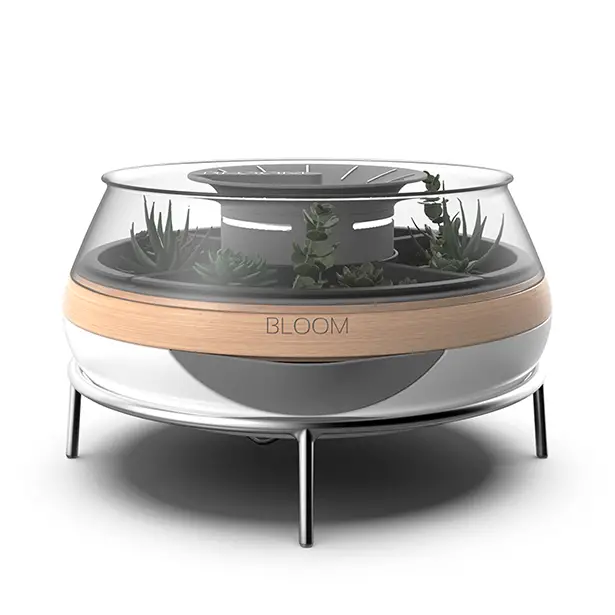 Bloom Succulent Dedicated Grow Box by Mert Ali Bukulmez