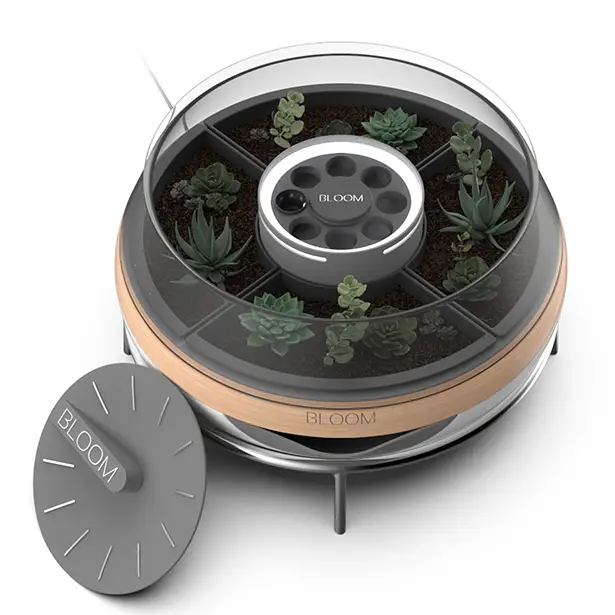 Bloom Succulent Dedicated Grow Box by Mert Ali Bukulmez