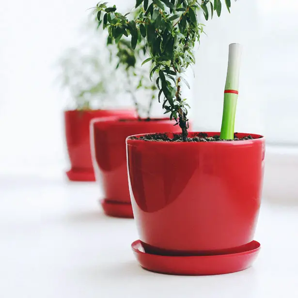 Boo Watering Device by Sıla Tülay Zeytin