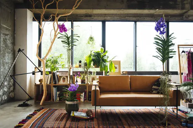 Botanical Hanger to Create Organic Architecture in Your Home
