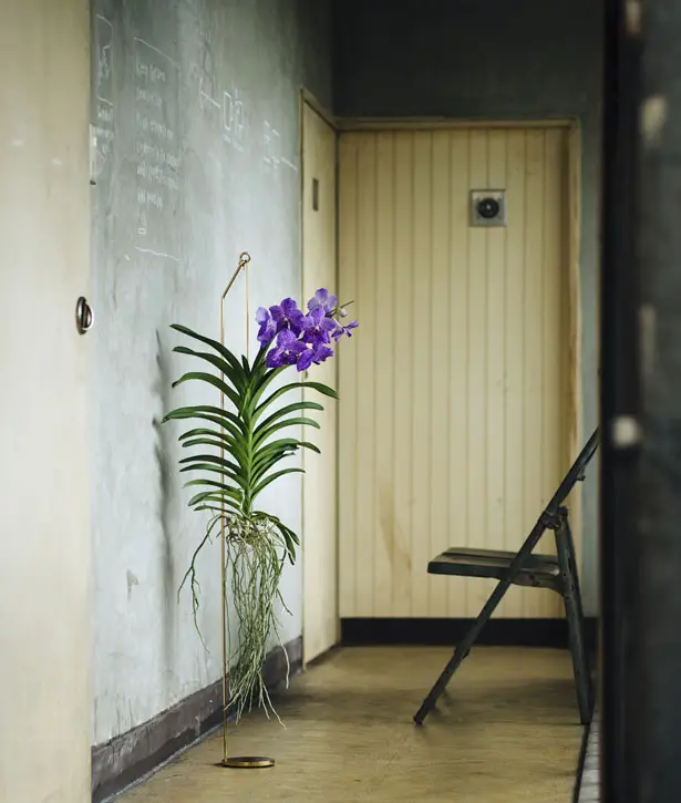 Botanical Hanger by Satoshi Itasaka