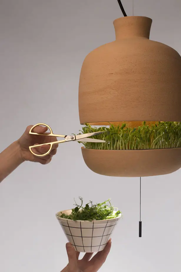 Brot: Furniture for Food by Caterina Vianna and Ferran Gesa