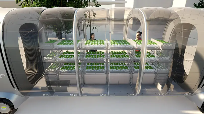Bubblic Public: On-Demand Public Transportation and Logistic System