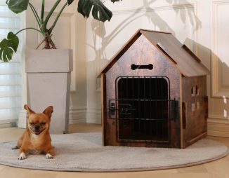 Byrn Wooden Pet House with Roof and Lockable Door for Small Dog