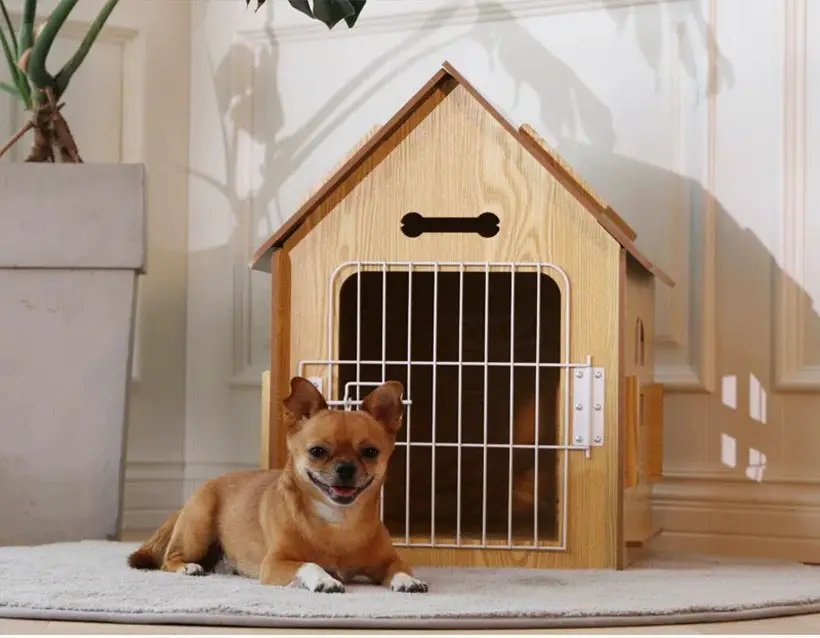 Byrn Wooden Pet House with Roof and Lockable Door