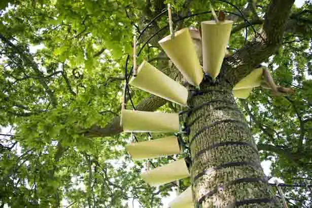 CanopyStair : Modular System to Form A Spiral Staircase Around a Tree Trunk