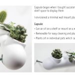 Capsule Minimalist Wall Planter by Gavin Rea