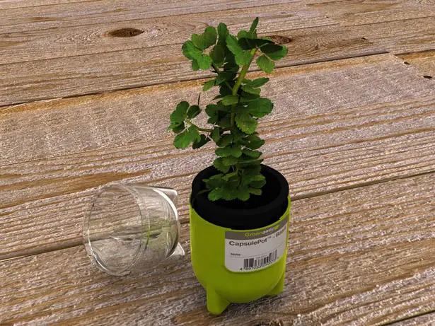 CapsulePot Mini Garden In a Capsule