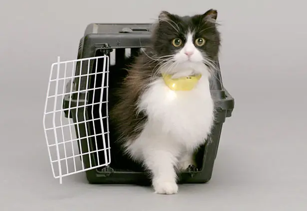 Catterbox Cat Collar Translates Your Cat Voice Into Human Voice by Mars' Temptations Lab
