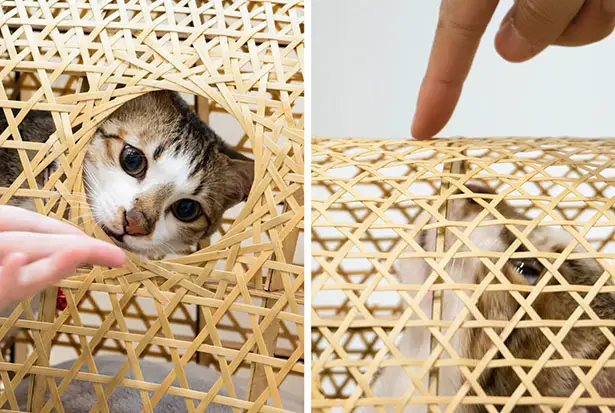 Catyou In A Circle - Modern Cat Furniture by Ling Yueh-Ting and Wang Chia-An