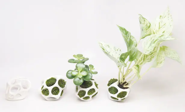 Cella Urban Planter Pod by Ecoid